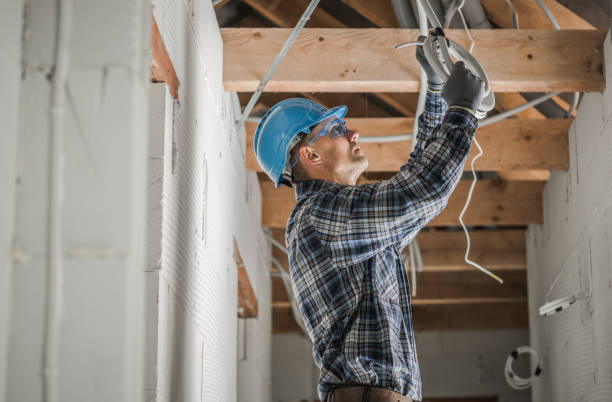 Best Electric Panel Repair  in Blakely, GA