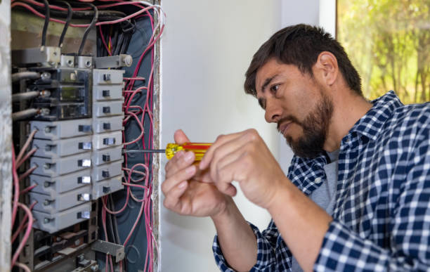Best Electrical System Inspection  in Blakely, GA